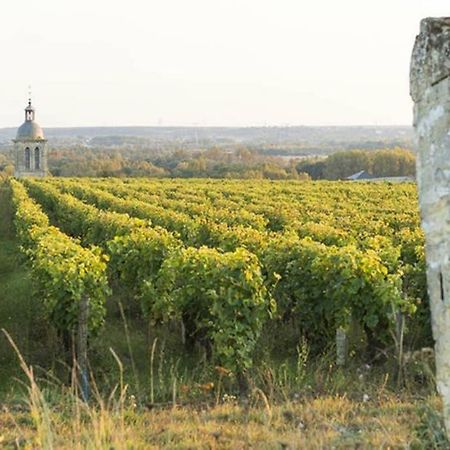 Апартаменты Studio Au Coeur Des Vignes Монлуи-сюр-Луар Экстерьер фото